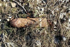 Recoltă de primăvară la Panciu – o bombă de calibru 76 mm!