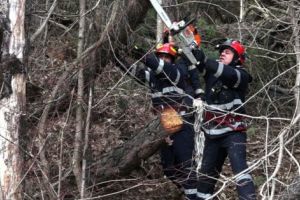 Copaci căzuţi peste case şi pe drumuri