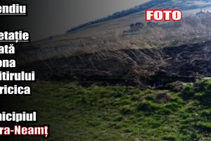 Incendiu de vegetaţie uscată în zona cimitirului Pietricica din municipiul Piatra-Neamţ