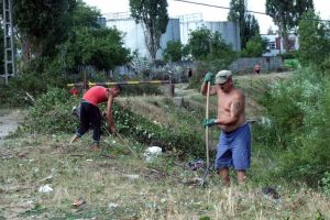 Opt deţinuţi, la curăţenie prin Oradea