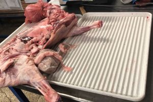 Atentie de unde luati mielul pentru Paste. Ce au descoperit comisarii CJPC Constanta la o macelarie din Piata Tomis 3 (galerie foto)