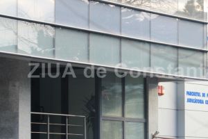 Vasile Cristache si Iulian Zana, condamnati 