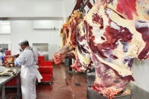 Zeci de amenzi şi avertismente aplicate de Direcţia Sanitar Veterinară