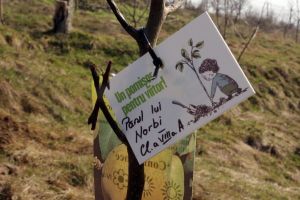 Cora Bacău plantează pomi fructiferi