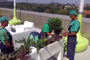 Primăria Gheorgheni angajează muncitori calificaţi