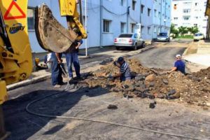 “Dorel” loveşte şi la Alexandria