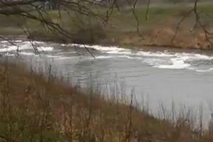 A aparut din nou spuma pe Bega, de data aceasta la Sanmihai, langa Timisoara
