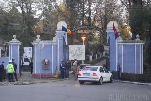 ADP Oradea a plantat 700 de puieţi de paltin la ZOO, Adăpostul Grivei şi Cimitirul Municipal