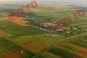 Concluzie ALARMANTĂ: Străinii au ajuns să EXPLOATEZE milioane de hectare de teren arabil românesc 