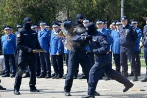 Focuri de armă, mascaţi şi câini dresaţi, în centrul Oradiei, de Ziua Jandarmeriei (FOTO/VIDEO