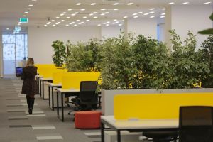 Ness Digital Engineering a ajuns la 100 de angajati in Timisoara si la 2.800 mp in cladirea UBC 2