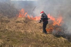 Judetul Tulcea. Incendiu in apropierea localitatii Telita. Intervin salvatorii (galerie foto)