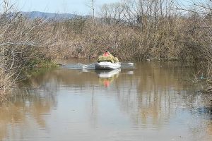 Sute de oi IZOLATE de ape, cu tot cu CIOBAN. Intervin POMPIERII (FOTO)