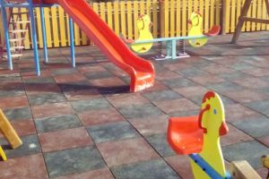 Ambiţii mari la Valea Danului