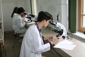 Șapte elevi din judeţ s-au calificat la Olimpiada Naţională de Biologie de la Piatra Neamţ