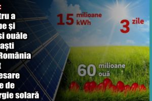 E.on: Pentru a fierbe şi vopsi ouăle de Paşti din România sunt necesare 3 zile de energie solară