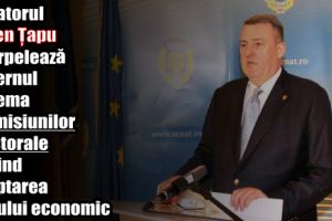 Senatorul Eugen Țapu interpelează Guvernul pe tema promisiunilor electorale privind adoptarea Codului economic