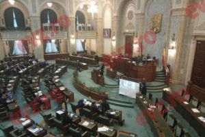 S-a publicat lista cu salariile angajaţilor de la Senat! Cât câştigă Tăriceanu