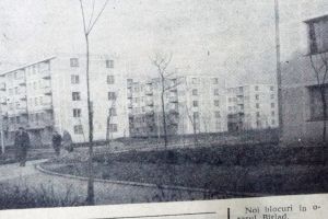 Răsfoind presa de altădată… (19): 17 taurine într-o clasă!