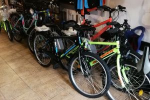 O bicicletă pentru un mesteacăn. Asociaţia OM face Paştele fericit pentru 24 de copii