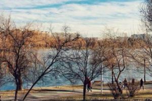 Descoperire MACABRĂ în parcul IOR din Capitală. O femeie a fost găsită MOARTĂ. A lăsat un bilet CIUDAT de adio acasă