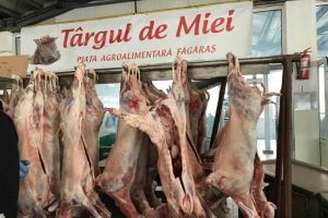 S-a deschis Târgul de miei în Făgăraş. Cu cât se vinde un kg de carne