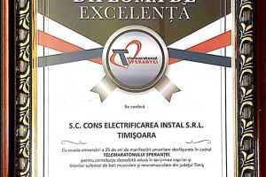 „Bunatatea e cel mai frumos cadou pe care il poti face”, interviu cu Horatiu Rada, manager CEI