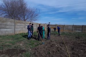 Mai mult verde pentru noi si generatiile viitoare