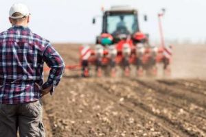 Subvenţii achitate pentru 98,12% dintre fermieri! Ce spune APIA despre softul de plăţi