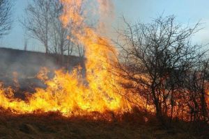 Igienizarea prin foc este reglementată de lege. Nerespectarea prevederilor aduce amenzi drastice