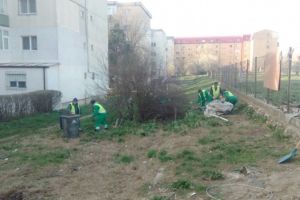 Actiuni de ecologizare in Constanta. Unde au actionat Politia Locala si angajatii Polaris