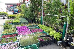 Kaluna: oferte de primăvară irezistibile! (FOTO)