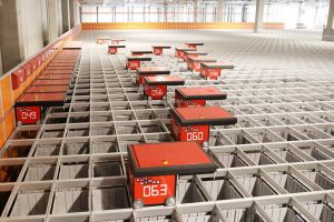 PREMIERĂ. Autonet va prezenta primul sistem de depozitare robotizat din ţară, AutoStore