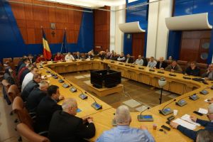 Primarii judeţului, faţă în faţă cu parlamentarii. Ce probleme au ridicat aleşii locali