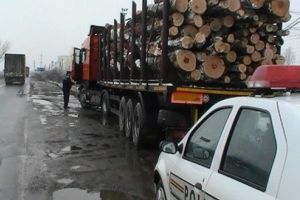 Măsuri noi pentru combaterea tăierilor ilegale de păduri