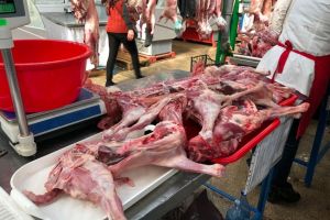 Scandal in Piata Grivitei din Constanta in timpul unui control al CJPC Constnta. In ce conditii era depozitata carnea de miel (galerie foto)