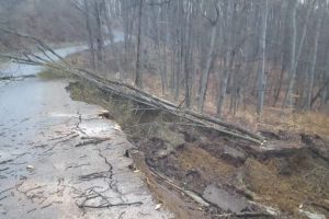 Drum, rupt in doua in Prahova. Zeci de copaci au cazut, in urma unei alunecari de teren