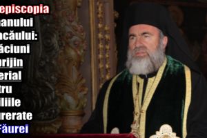 Arhiepiscopia Romanului şi Bacăului: Rugăciuni şi sprijin material pentru familiile îndurerate din Făurei