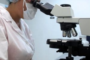 Institutul de Diagnostic şi Sănătate Animală a confirmat pesta porcină africană într-un produs pe bază de carne