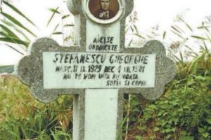 CORUPȚIA ÎNAINTE DE 1989. 1978. Secretul lui Bachus sau execuţia lui Ștefănescu, comerciantul care boteza vinul, primul milionar comunist