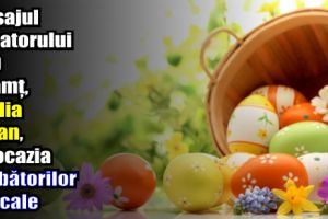 Mesajul senatorului PSD Neamţ, Emilia Arcan, cu ocazia Sărbătorilor Pascale