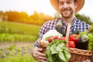 5 culturi de legume profitabile şi uşor de plantat