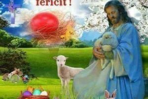 Deputat Vasile Cocos: Va doresc un Paşte luminos şi fericit alături de cei dragi!