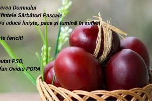 Ovidiu Popa, deputat PSD: Invierea Domnului, sa va aduca liniste in suflete!