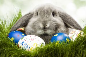 Vremea în ziua de Paşte – Vor fi şi 24 de grade