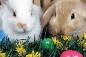 Paşte 2019. S-a stabilit în ce zi vom sărbători Învierea Domnului anul viitor