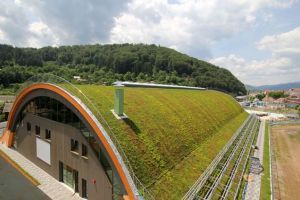 O clădire din Comăneşti are cel mai mare acoperiş verde din ţară