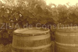 #citesteDobrogea: Cognacul si romul, bauturi falsificate aflate pe masa dobrogenilor. Lucrari din Biblioteca Virtuala ZIUA de Constanta