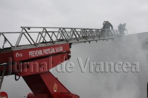 Bărbat coborât din copac de pompierii focşăneni