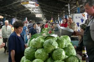 Anunţ important pentru producătorii agricoli!